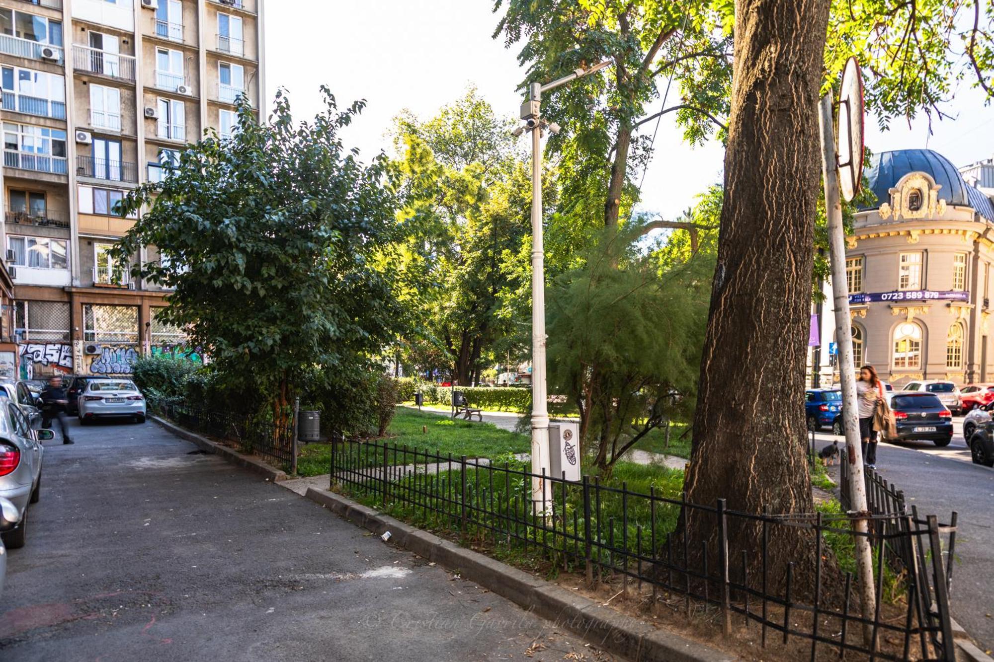 דירה On Magheru Boulevard